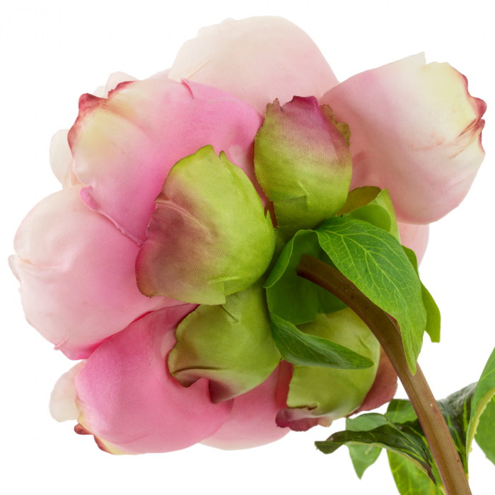 Buchet Bujori tonuri roz, real touch, 48 buc/2 soiuri, Dims: Approximately | Ø 70  (CM) [5]