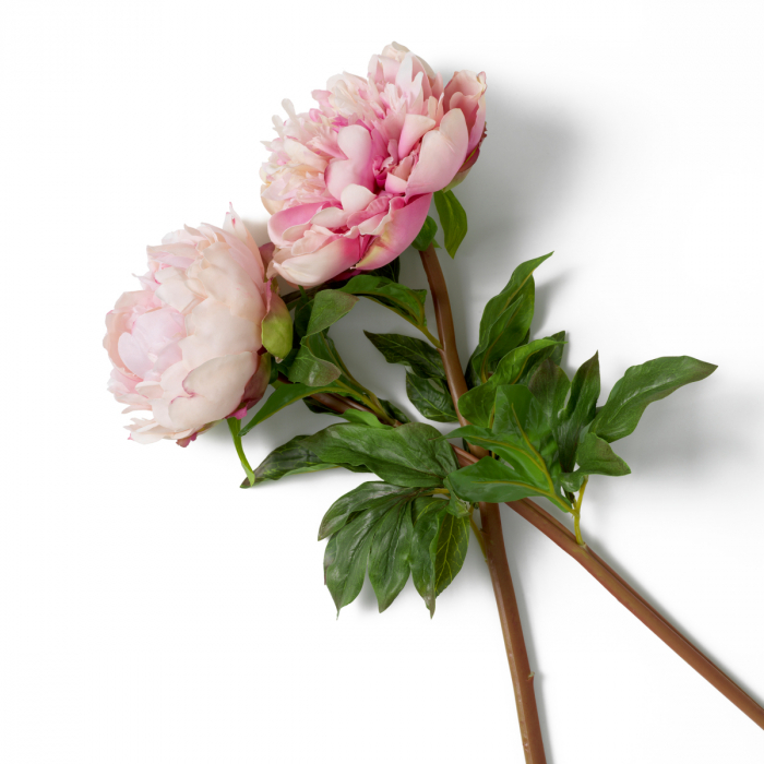 Buchet Bujori tonuri roz, real touch, 48 buc/2 soiuri, Dims: Approximately | Ø 70  (CM) [3]
