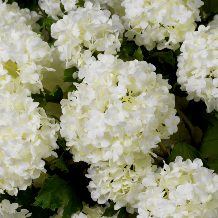 Buchet de hortensie bulgăre de zăpadă, alb, real touch, 36 buc, Dims: Approximately | Ø 80  (CM) [2]
