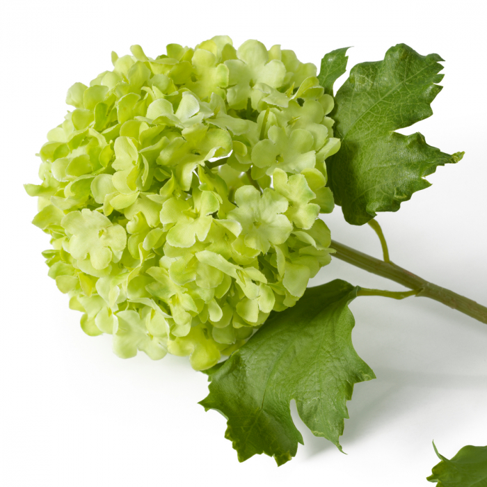 Buchet de hortensie bulgăre de zăpadă, verde, real touch, 36 buc [4]
