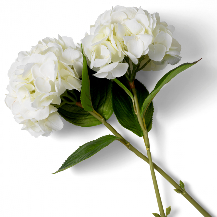 Buchet de hortensie tonuri albe, real touch, 48 buc/2 soiuri [3]