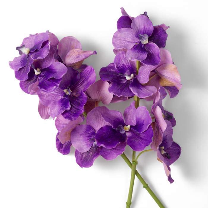 Buchet de Orhidee Vanda mov, real touch, 24 buc [3]