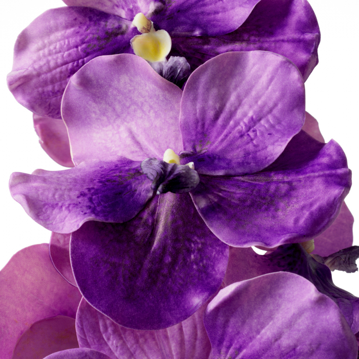 Buchet de Orhidee Vanda mov, real touch, 24 buc [4]