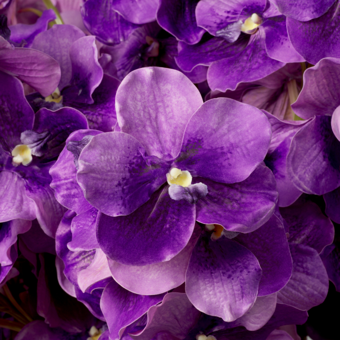 Buchet de Orhidee Vanda mov, real touch, 24 buc [2]