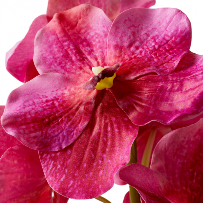 Buchet de Orhidee Vanda roz, real touch, 24 buc, Dims: Approximately | Ø 75  (CM) [4]