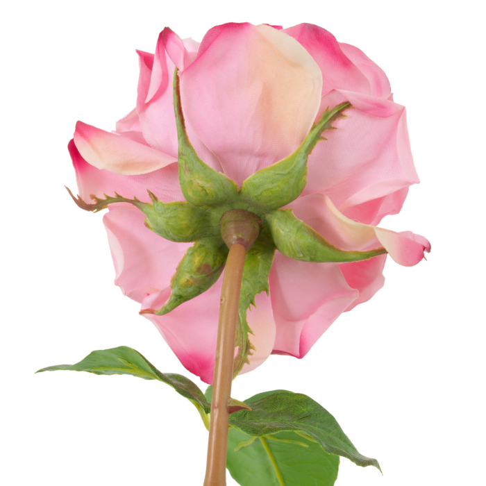 Buchet de trandafiri multicolor, real touch, 72 buc/3 soiuri, Dims: Approximately | Ø 70  (CM) [5]