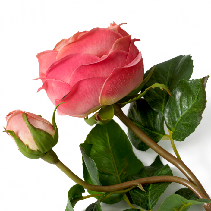 Buchet de trandafiri, real touch, 72 buc/3 soiuri, Dims: Approximately | Ø 60  (CM) [5]