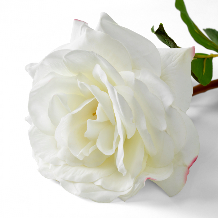 Buchet de trandafiri trei tonuri de alb, real touch, 72 buc/3 soiuri [5]