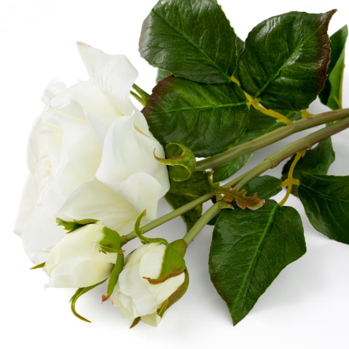 Buchet de trandafiri trei tonuri de alb, real touch, 72 buc/3 soiuri [4]
