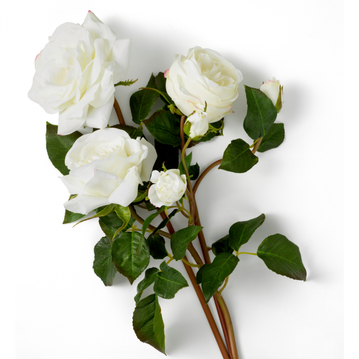 Buchet de trandafiri trei tonuri de alb, real touch, 72 buc/3 soiuri [3]
