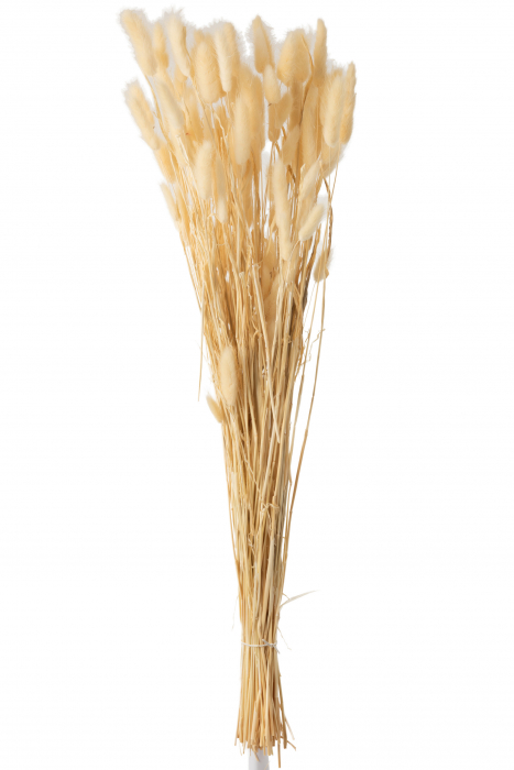 Buchet iarba, Rachita bambus, Natural, 10x4x80 cm