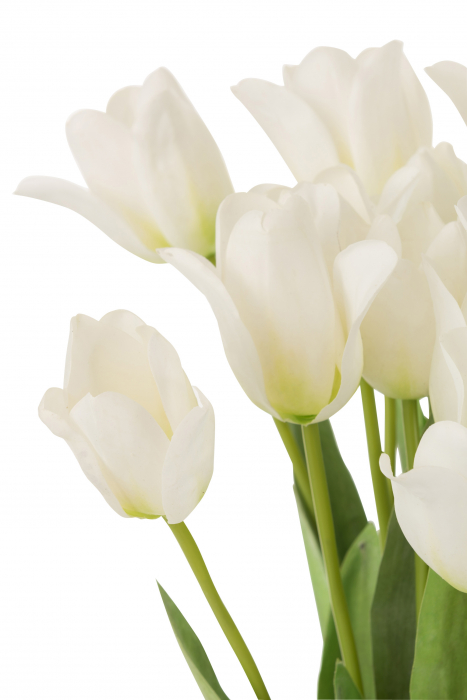 Buchet Lalele , Fibre sintetice, Alb, 33.5x25x66 cm [3]