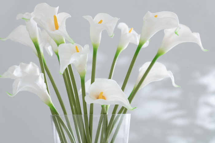 Buchet plante artificiale, Material sintetic, Alb , 20x10.5x37 [3]