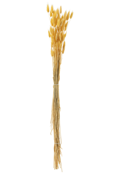 Buchet plante uscate, Fibre naturale, Galben, 10x10x81 [1]