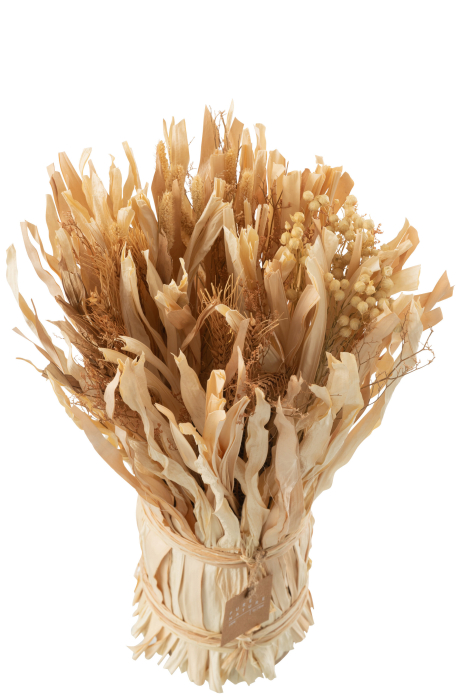 Buchet plante uscate, Fibre naturale, Natural, 20x20x40 [2]