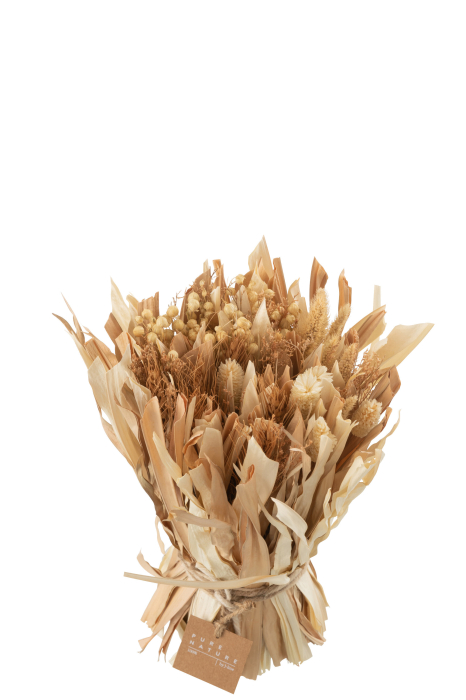Buchet plante uscate, Fibre naturale, Natural, 23x23x25 [3]