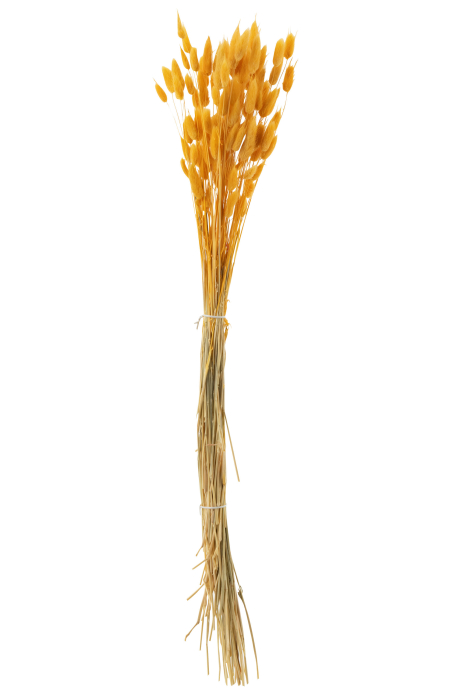 Buchet plante uscate, Fibre naturale, Portocaliu, 10x10x81 [2]