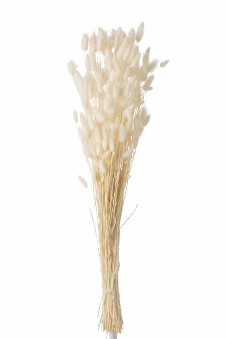Buchet, Rachita Bambus, Alb, 14x5x86 cm