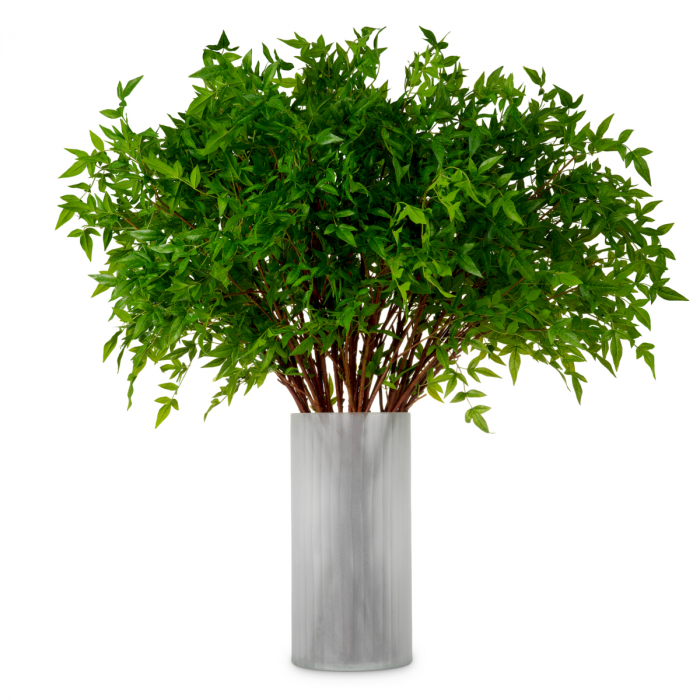 Buchet Tender 36 buc, Dims: Approximately | Ø 80  (CM) [1]
