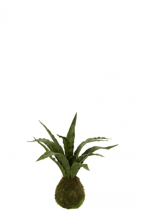 Bulb artificial, Plastic, Verde, 32x30x35 cm [2]