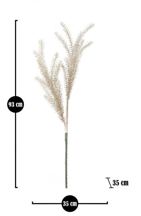 Bulrush maro cm ø 35x93 [4]