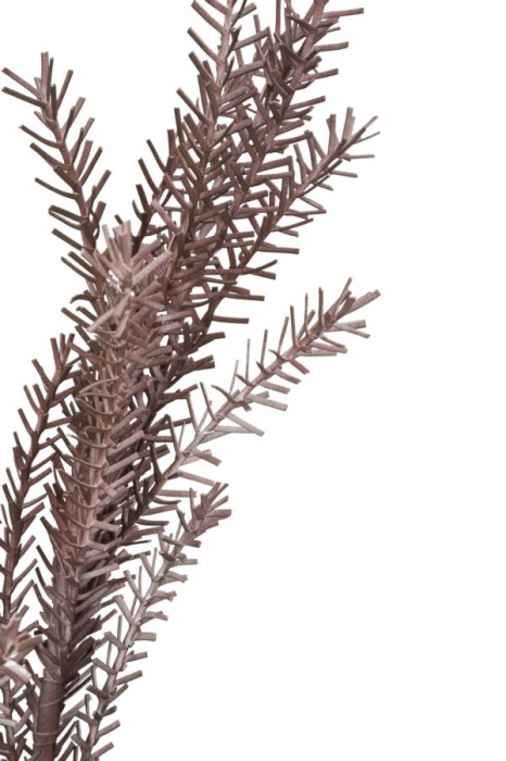 Bulrush red cm ø 35x93 [3]