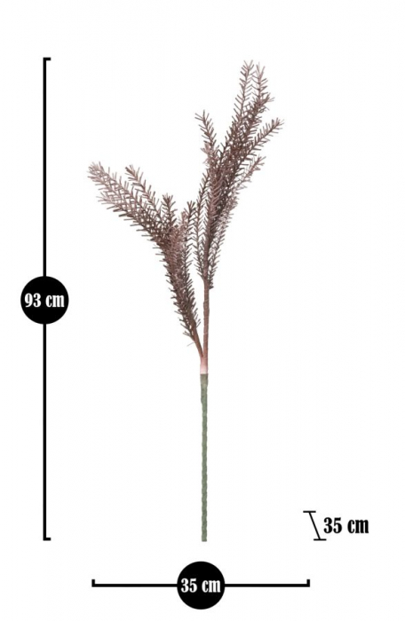 Bulrush red cm ø 35x93 [4]
