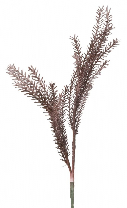 Bulrush red cm ø 35x93 [2]