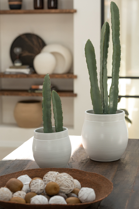Cactus, Material sintetic, Verde, 15x15x48 [1]