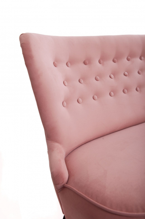 Canapea Diana 3L, Roz, 140xx86x67 cm [3]