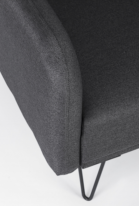 Canapea extensibila Bridjet, Lemn/Otel/Spuma/Poliester, Negru, 800x82x81 cm [11]
