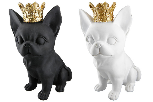 Chihuahua rasina Roxy Set 2  [2]