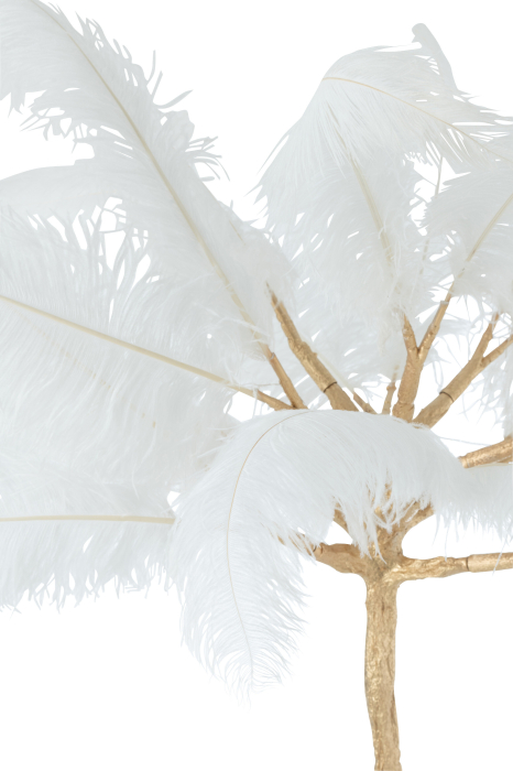 Copac Deco, Feathers L [4]