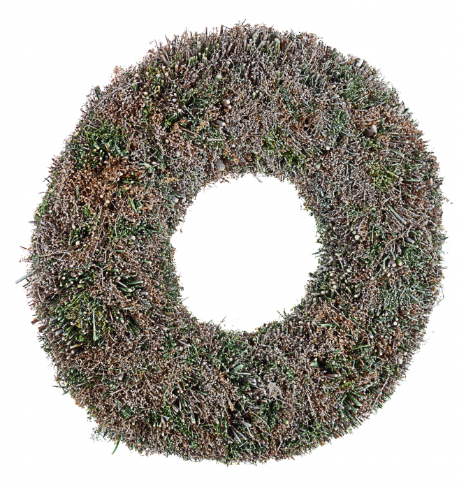 Coronita de Craciun iarba salbatica D45