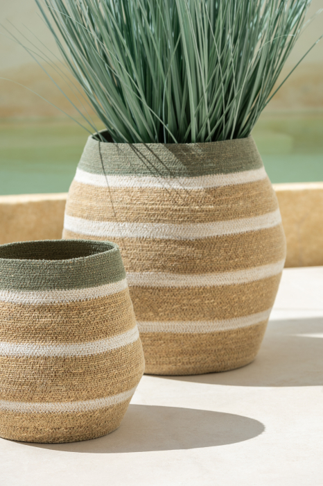 Cos depozitare, STRIP SEAGRASS, SET3 [3]