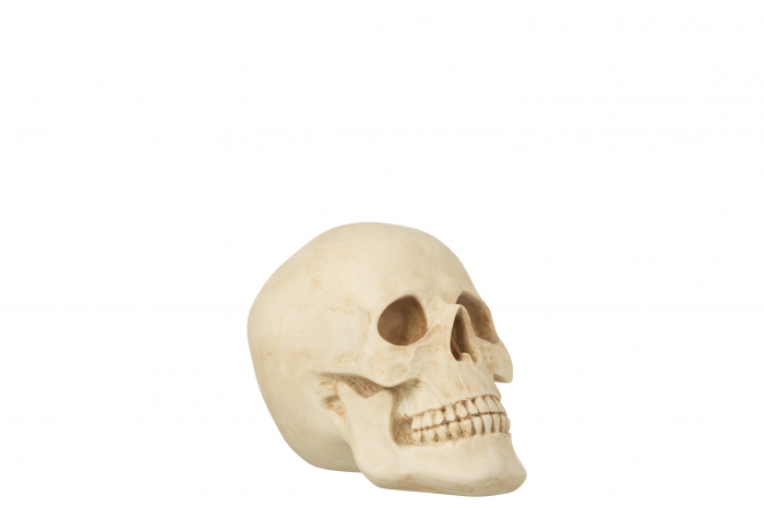 Craniu Skull, Compozit, Bej, 26x18x19 cm