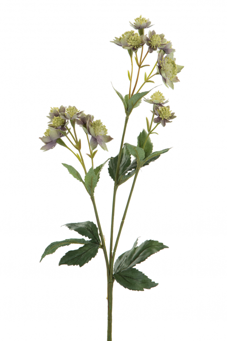 Crenguta flori artificiale Astrantia, Fibre artificiale, Verde/Mov, 5x44 cm [3]