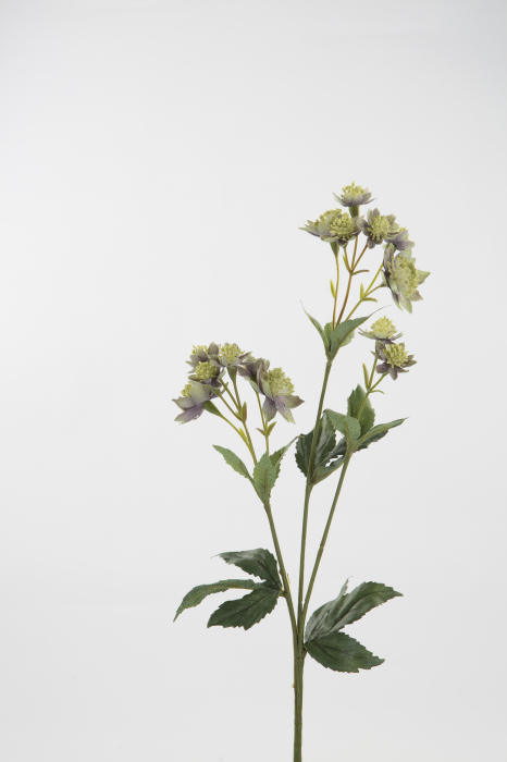 Crenguta flori artificiale Astrantia, Fibre artificiale, Verde/Mov, 5x44 cm [2]