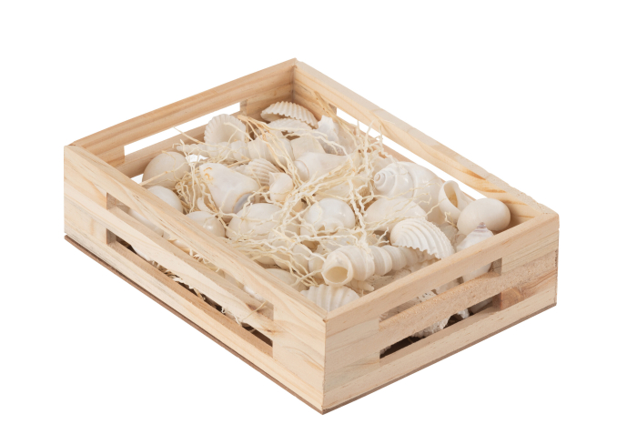 Cutie cu cochilii, Alb [2]