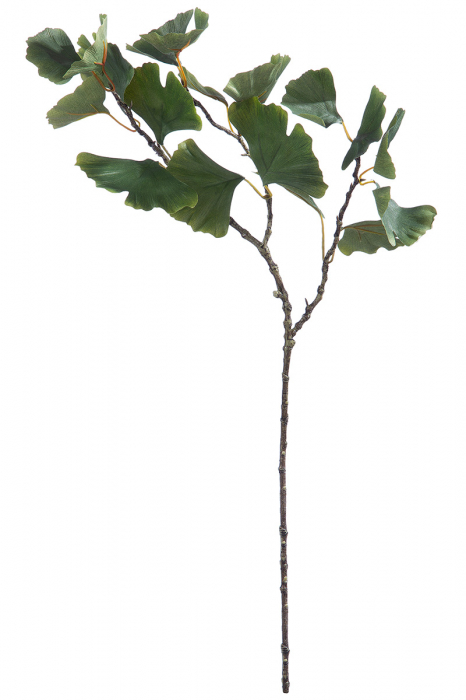 Deco Gingko verde [2]