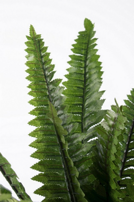 DECOEATIUNE PLANTĂ FERIGĂ CU GHIVECI 24 FOND H45CM [2]