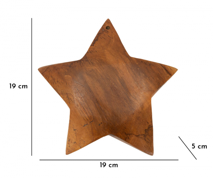 Décor, Bintang din tec reciclat cmø19x5 (piesa unica) [10]