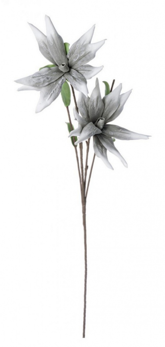 DECORATIUNE ALOE GRI CHINENSIS X2F H125 [1]