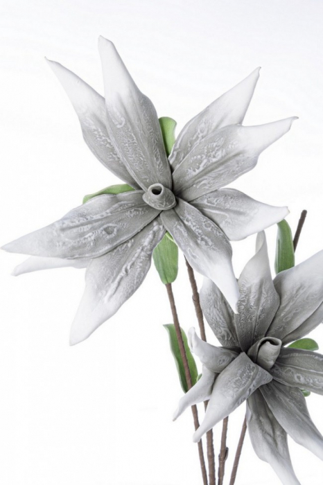 DECORATIUNE ALOE GRI CHINENSIS X2F H125 [2]