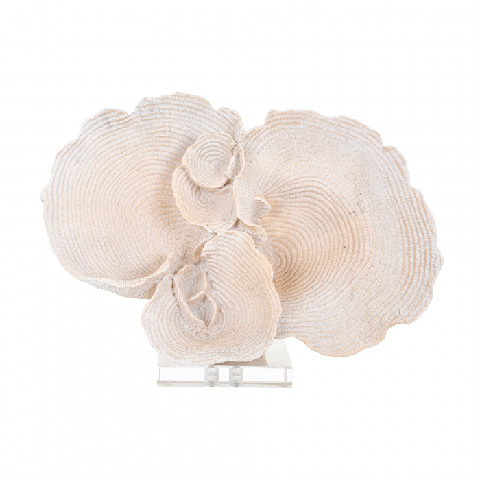 Decoratiune Coral Efron, Rasina, Crem, 23.5x33x15 cm lotusland.ro