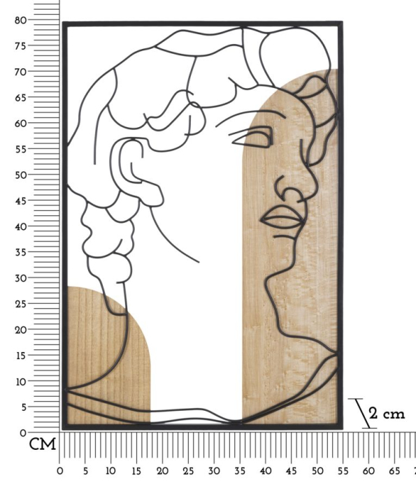 Decoratiune de perete David -b- cm 55x2x80 [6]