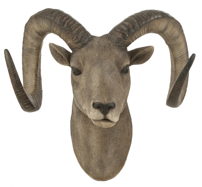 Decoratiune de perete Goat Head, Rasina, Maro, 28x48x22 cm image0