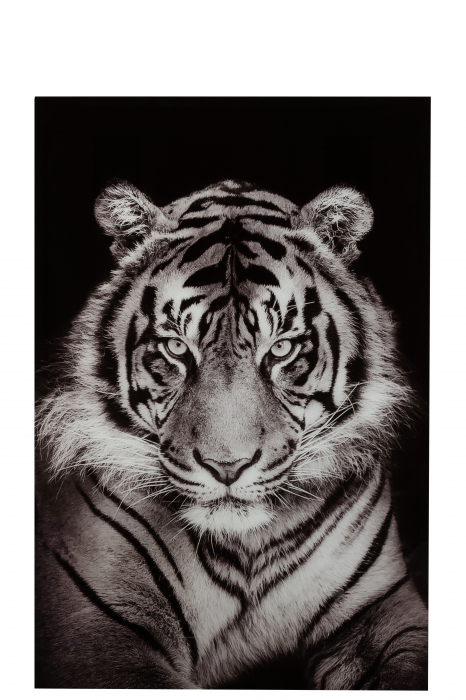 Decoratiune de perete Tiger, Sticla, Alb/Negru, 100x2x150 cm [2]
