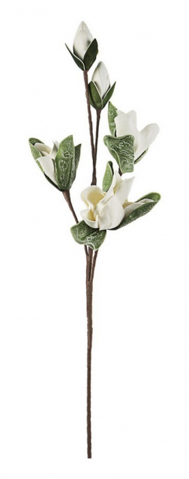 DECORATIUNE MAGNOLIE ALBA BUD X3F+2B H95 [1]