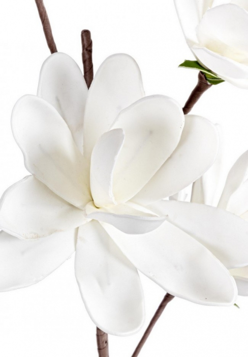 DECORATIUNE MAGNOLIE ALBA X4F H92 [2]